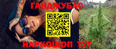 mdpv Славгород