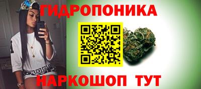 mdpv Славгород