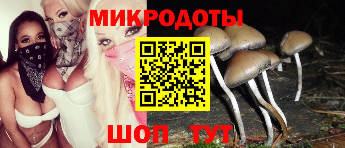 Нижний Новгород  Псилоцибиновые грибы ЛСД  Вход с VPN 
