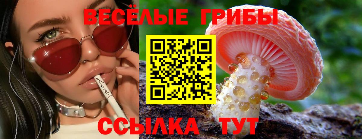 Галлюциногенные грибы Cubensis Нижний Новгород